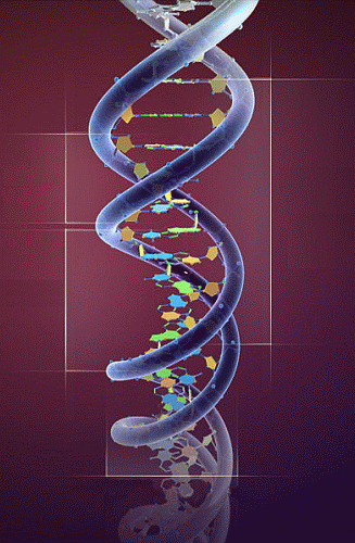 Doble hélice del ADN